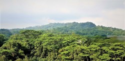 foresque-residences photo thumbnail #8